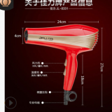 廠家供應(yīng) 佳力8331家用時(shí)尚吹風(fēng)機(jī)冷熱風(fēng)靜音2000W專(zhuān)業(yè)電吹風(fēng)