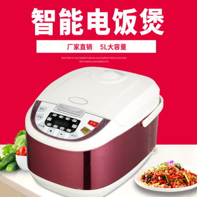 廠家直銷(xiāo)不銹鋼電飯煲5L定時(shí)方形多功能廚房家用電器禮品智能電飯