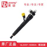 華源萊動(dòng)柴油發(fā)動(dòng)機(jī)原廠正品4L22CF-10300A噴油器包郵