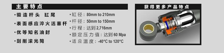主要特點