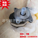 單聯(lián)，雙聯(lián)，三聯(lián)吊車(chē)齒輪泵，液壓油泵大量銷(xiāo)售