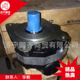 濟(jì)寧吊車(chē)雙聯(lián)齒輪泵 單聯(lián)液壓泵 50/40油泵大量供應(yīng)銷(xiāo)售