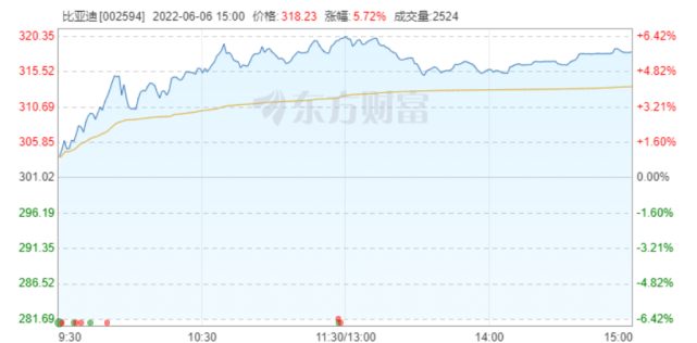 股價(jià)大漲，比亞迪5月銷量超11萬，連續(xù)三月逆勢增長