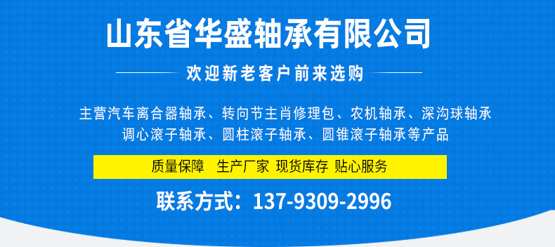 轉(zhuǎn)向節(jié)主肖修理包_01.jpg