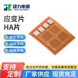 壓力測(cè)試用耐高溫應(yīng)變計(jì)應(yīng)變片HA片 高溫電阻應(yīng)變片稱重傳感器